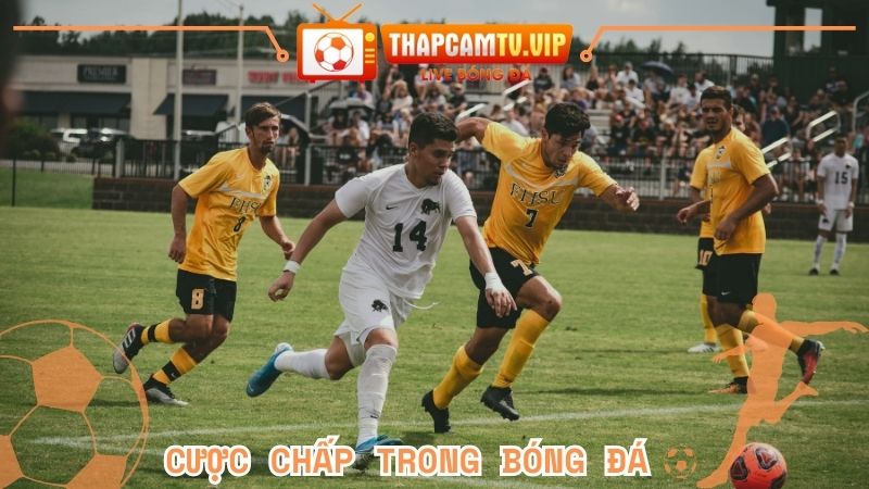 Cược chấp trong bóng đá | Cách chơi hiệu quả